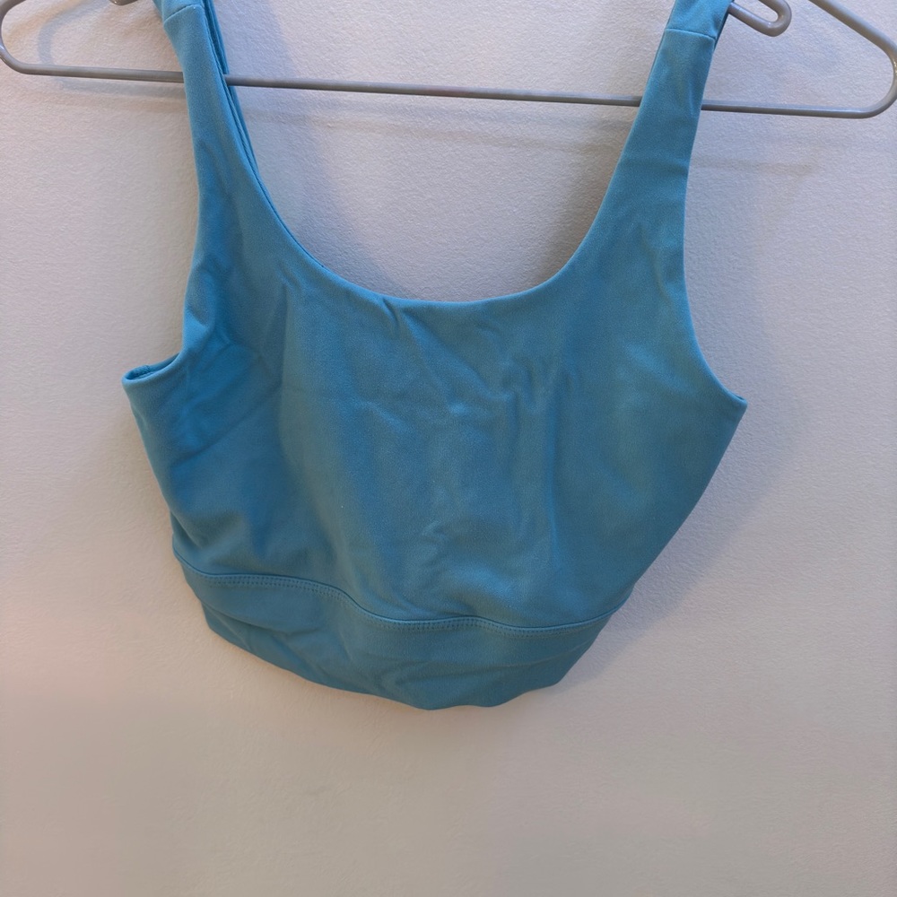 Blue Nike sports bra